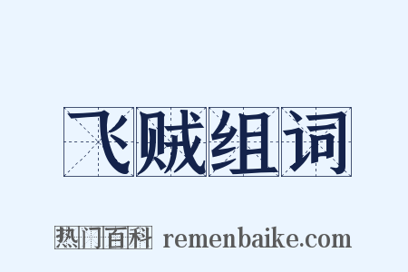 飞贼组词是什么意思的图片